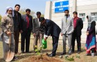 Tree Plantation Activity Organized by School of Politics and International Relations